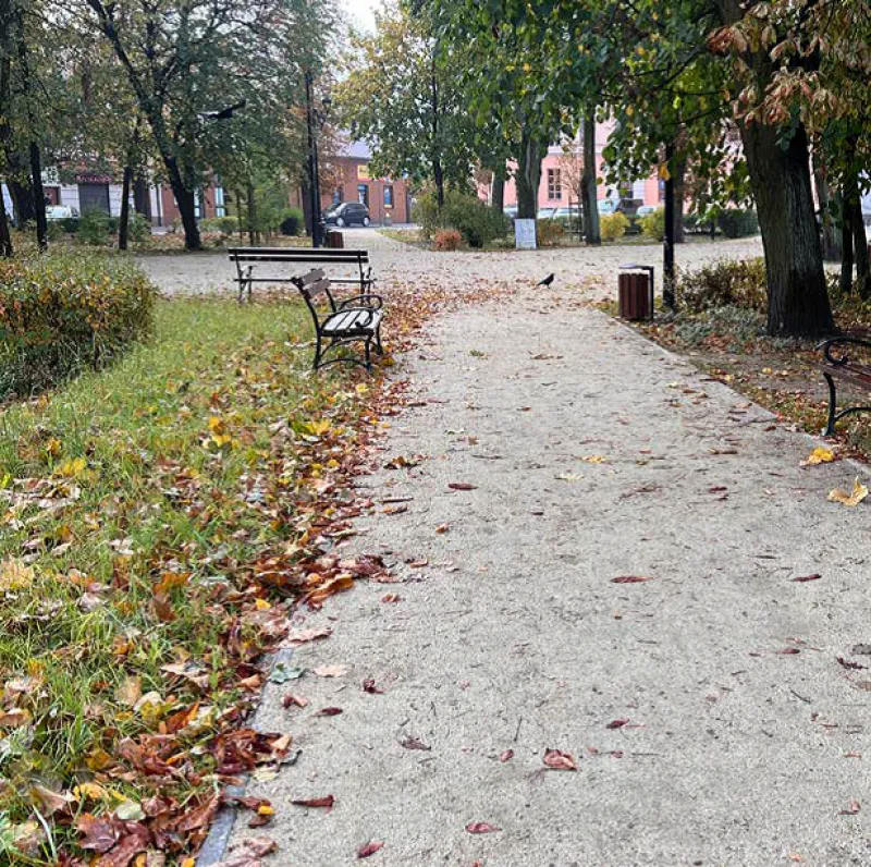 Ścieżka w parku pokryta opadłymi liśćmi, z ławką po lewej stronie i drzewami w tle.