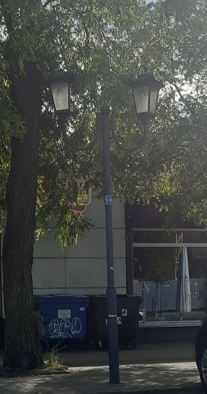 W tle widoczny jest latarnia uliczna, a obok niej stoją kontenery na odpady oraz fragment budynku z roślinnością wokół.