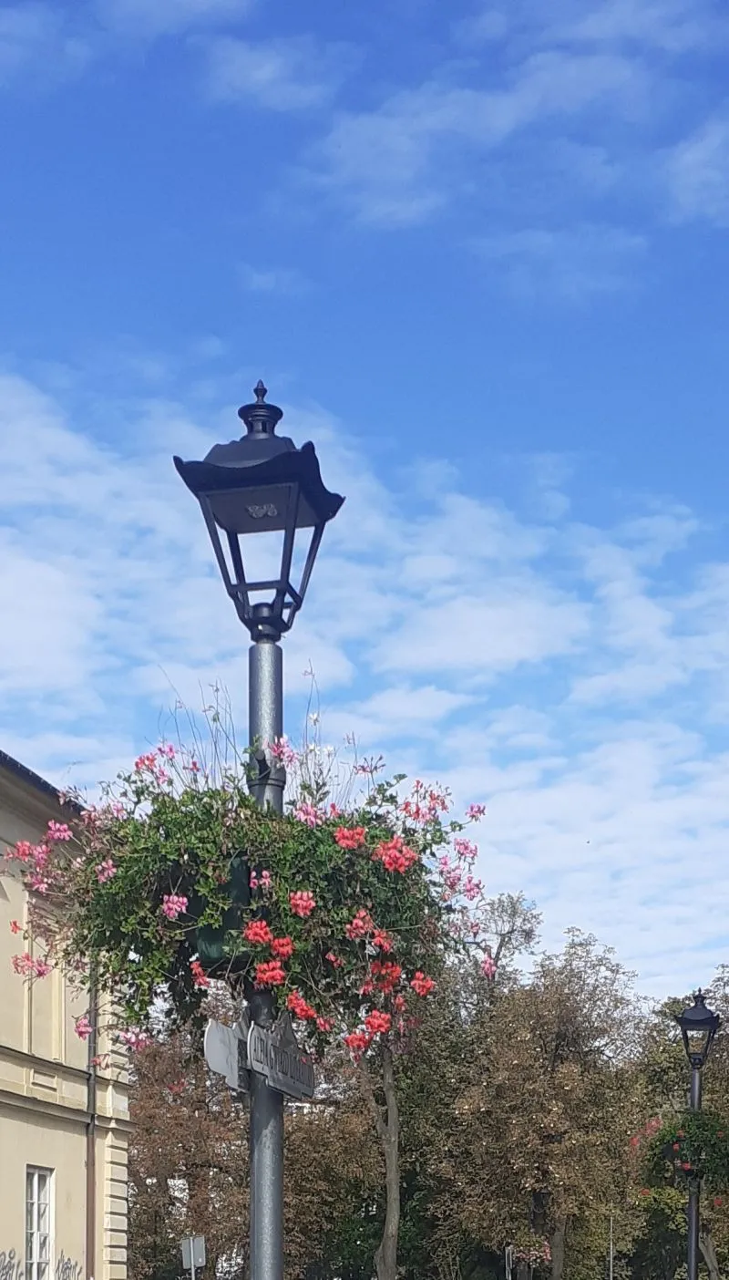 Lampa uliczna z kwiatami w donicach stoi na tle nieba z chmurami.